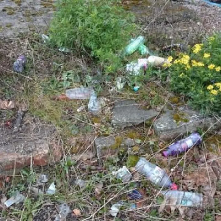 litter 1