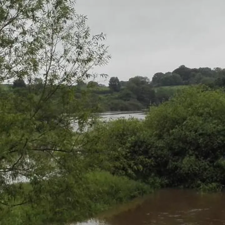 Weaver Bridge