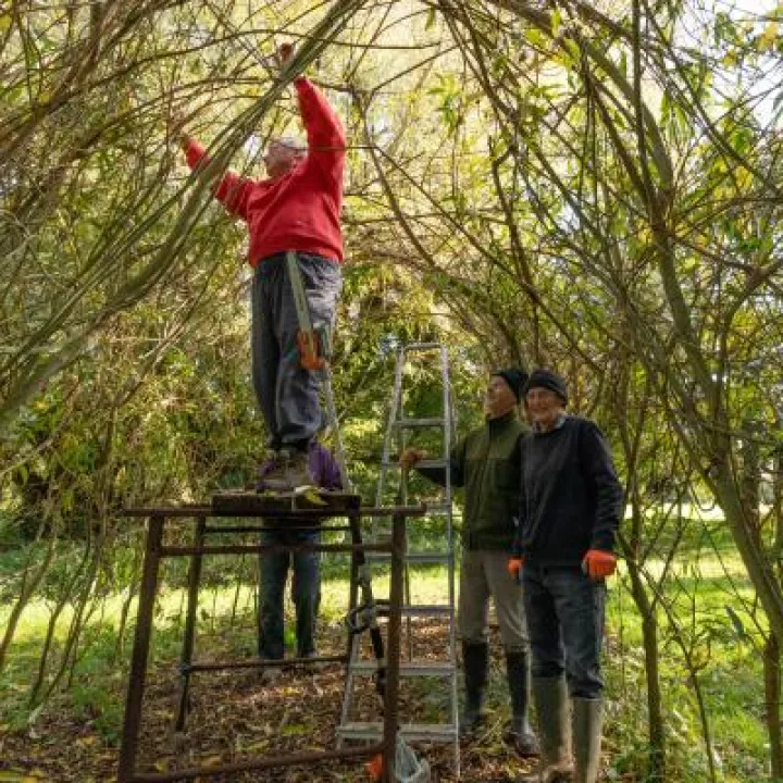 Snakemoor Work Party: Oct 2019
