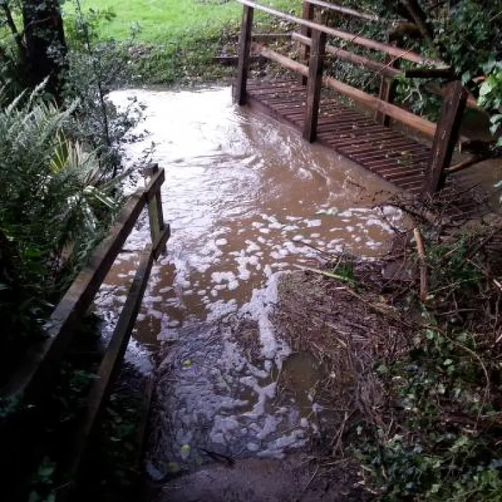 TimsBridge20191026_155715