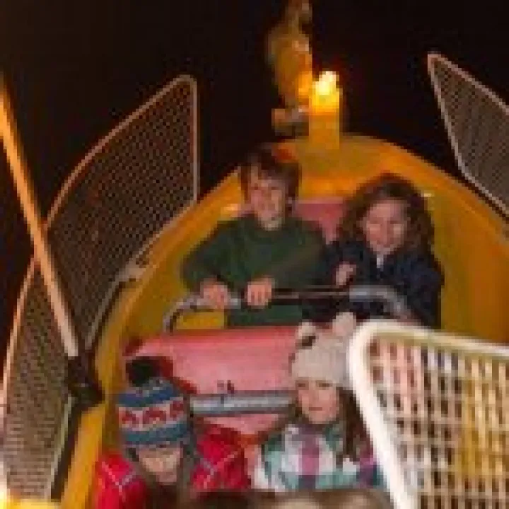 Firework Night 07