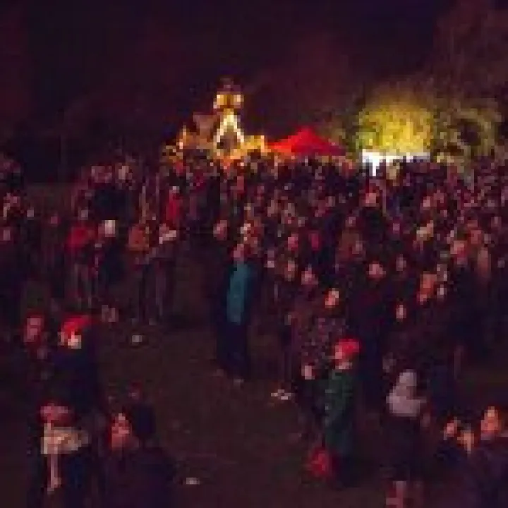 Firework Night 20