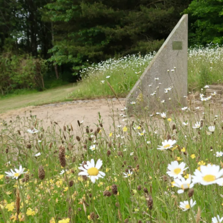 Flowers 11