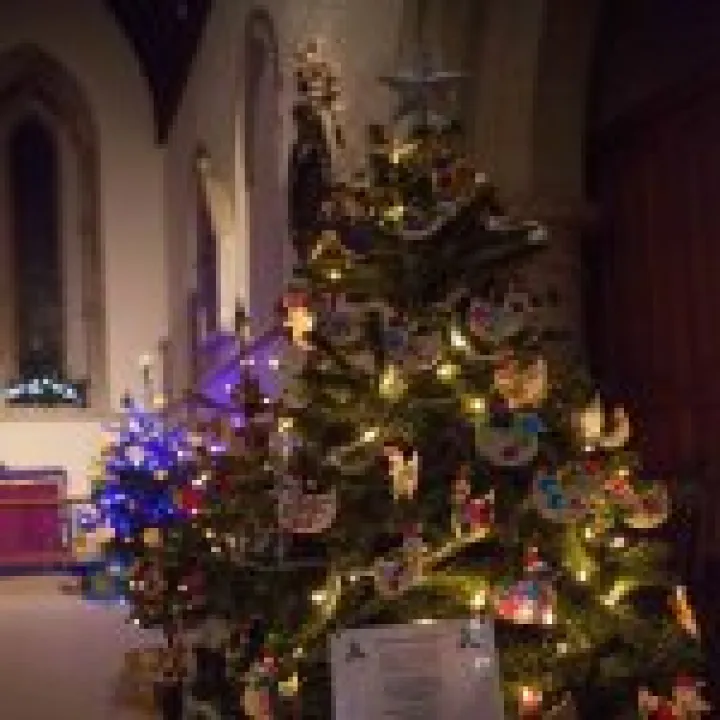Christmas Tree Festival 06