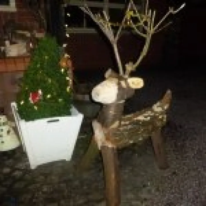Christmas reindeer