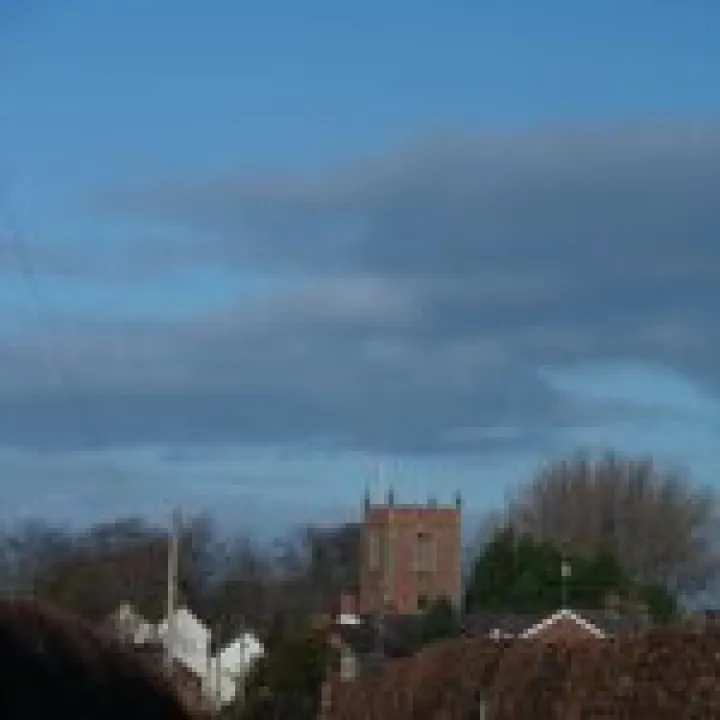 2013 Boxing Day walk (10)