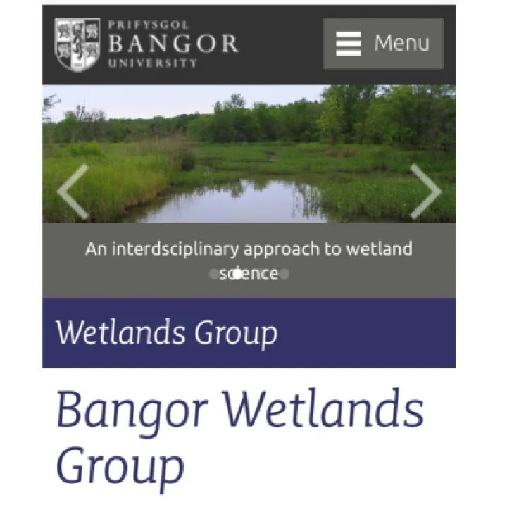 wetlands