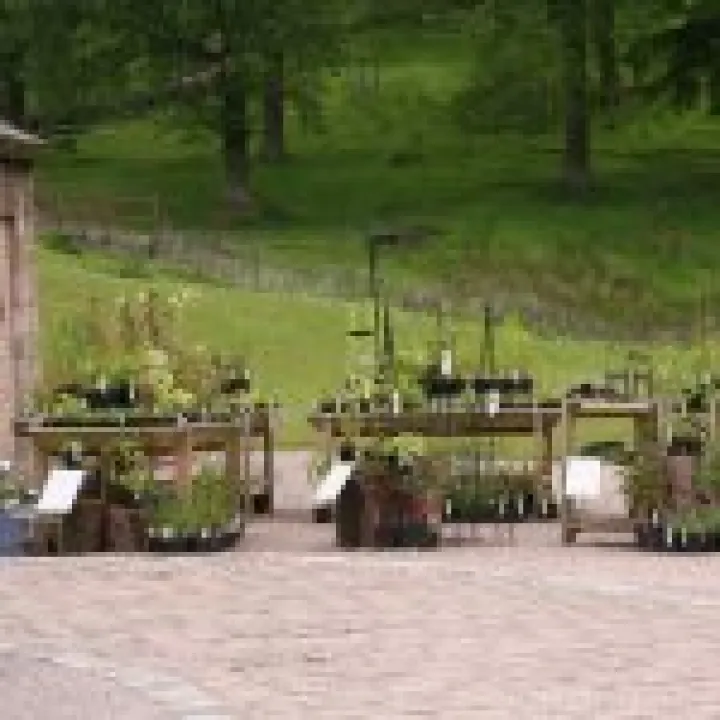 Lyme Park 019