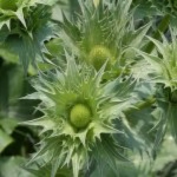 20080617 0006