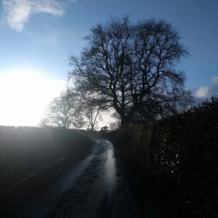 Monks lane