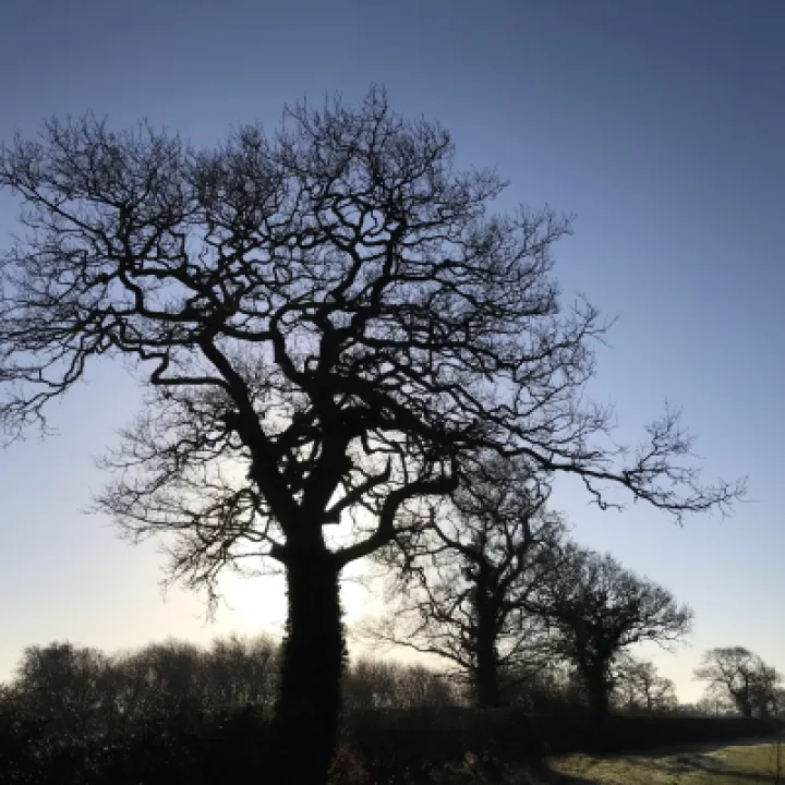 Spring sky