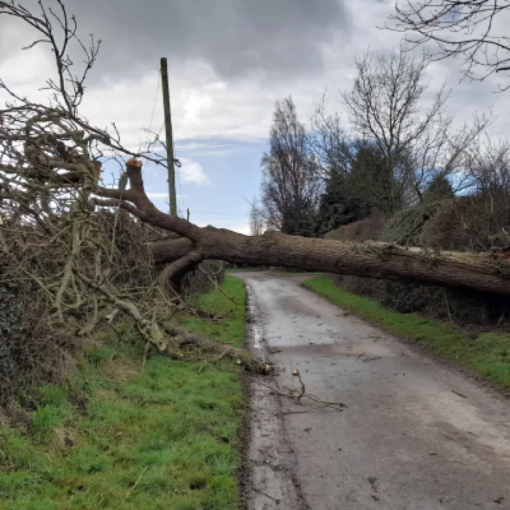 Storm damage