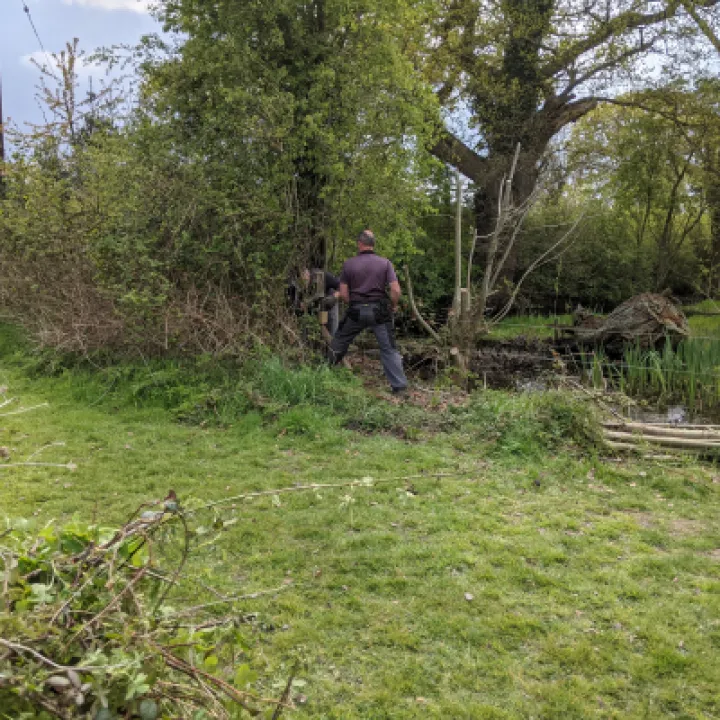 Allotment 3