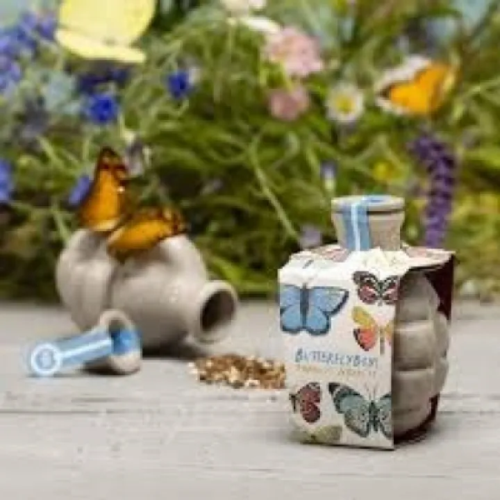 butterflybom