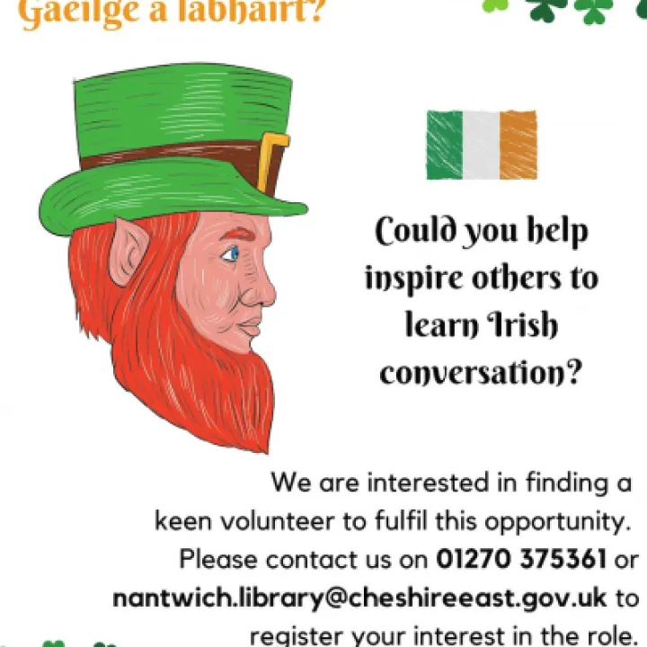 Irish Language