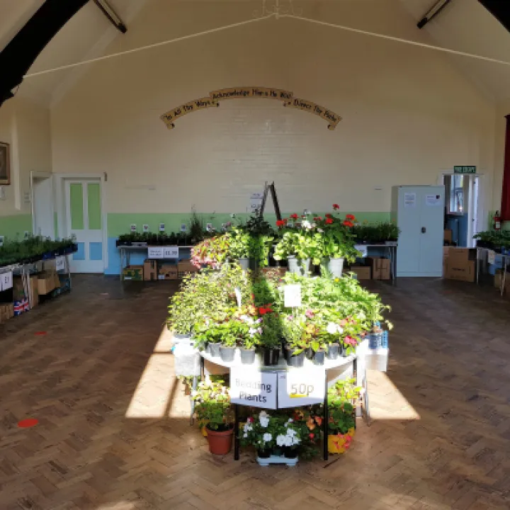 Plant Fair 1