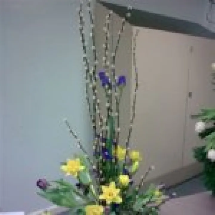 Flowers 002
