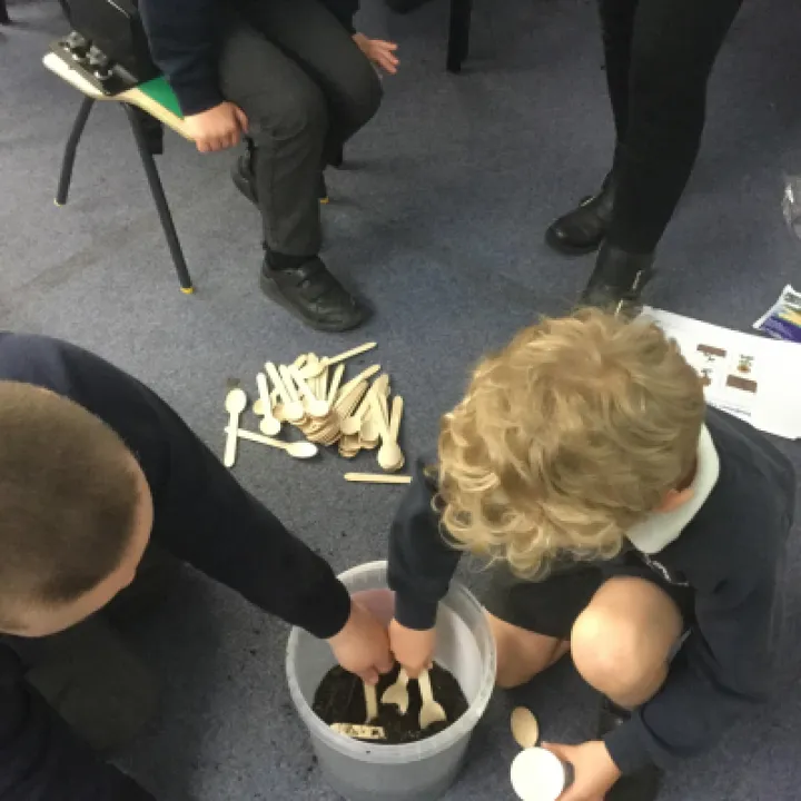 Planting 4