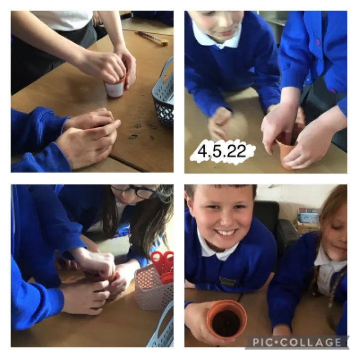 Planting