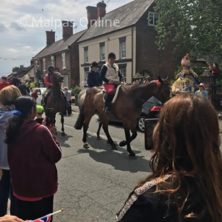 Horse 2