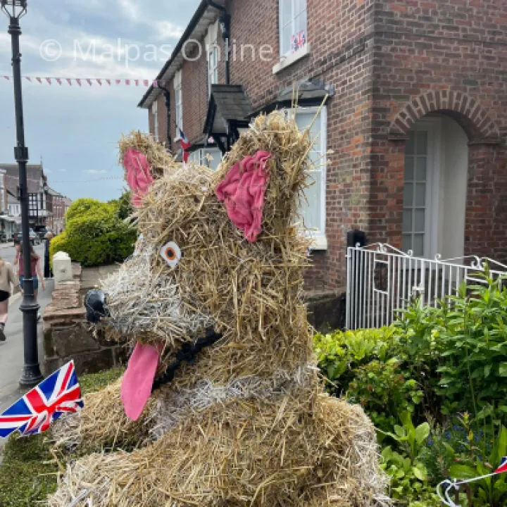 Corgi 1