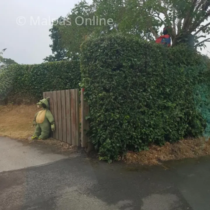 Scarecrow 8