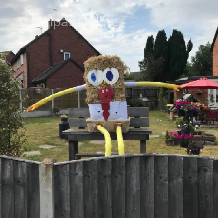 Scarecrow 9