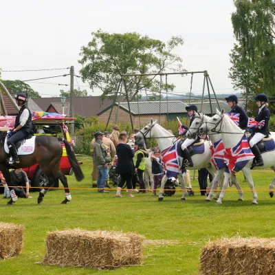 Horses 2