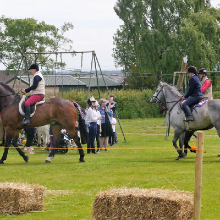 Horses 4
