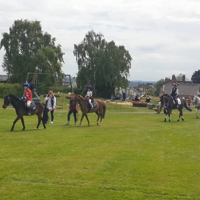 Horses on rec