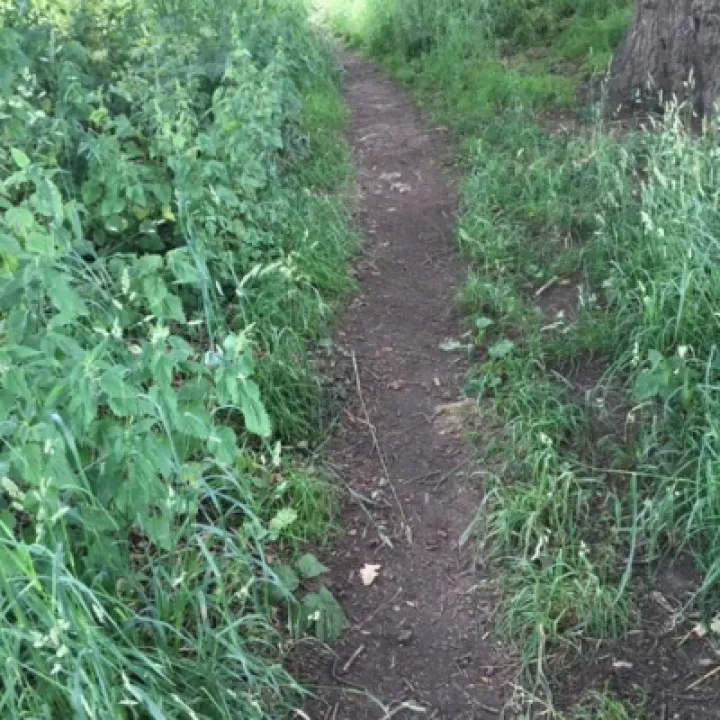 Path 4a