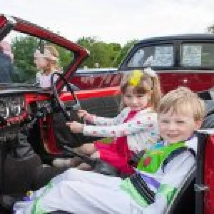 Vintage Cars 12
