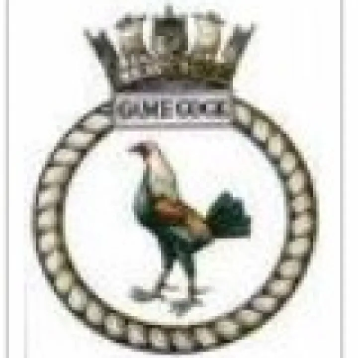 hms gamecock