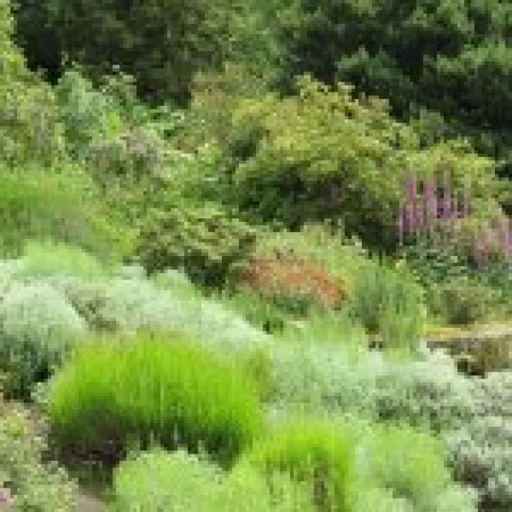 Ness Gardens jpg27
