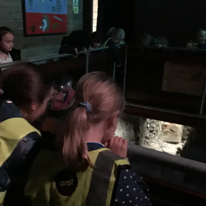Roman Trip 2.11.22