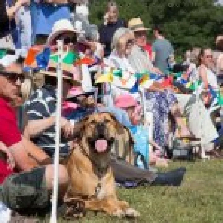 Dinton Fete 03