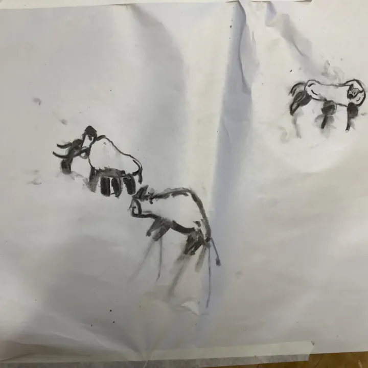 Cave paintings