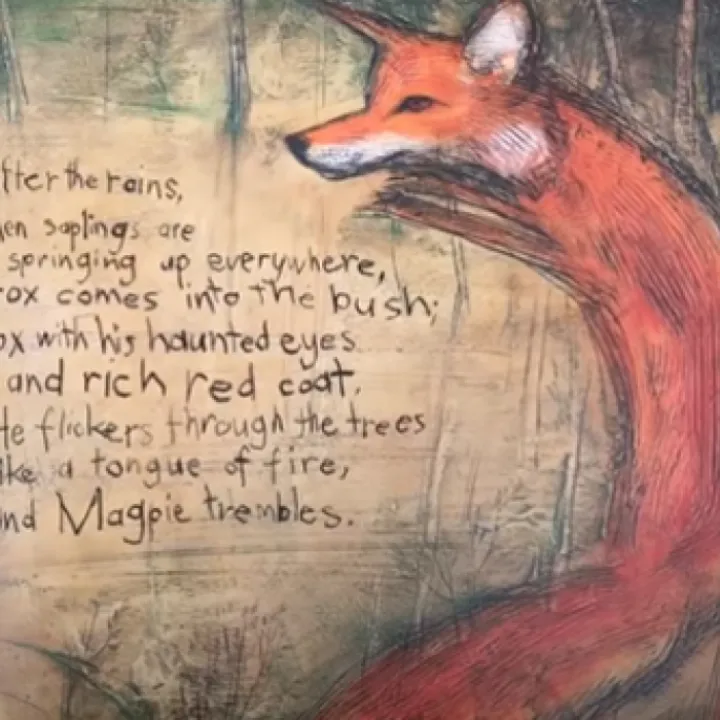 Fox image Y3 English