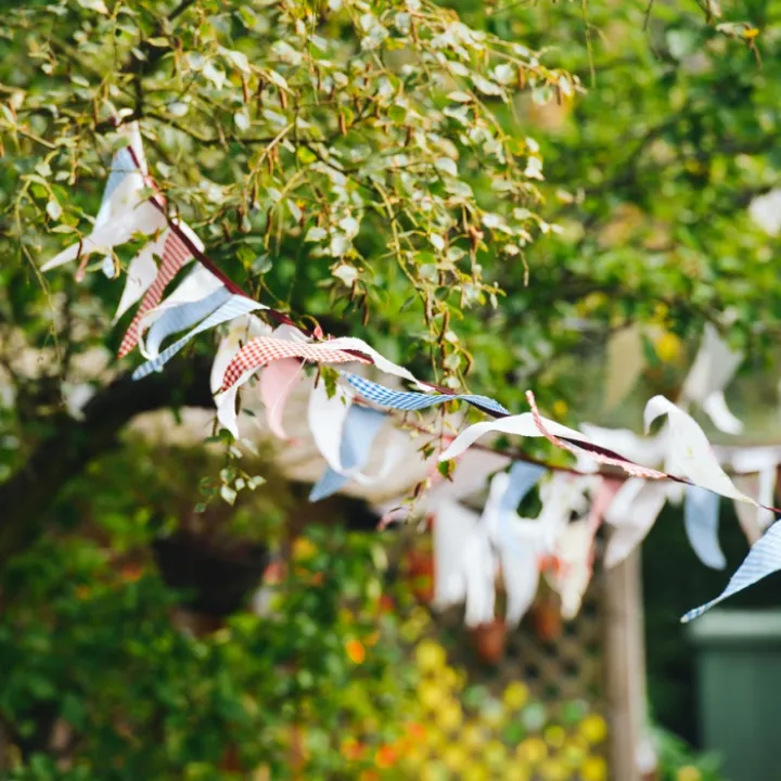 Bunting, flags, blowing