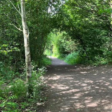 Wellbeing Walk 2