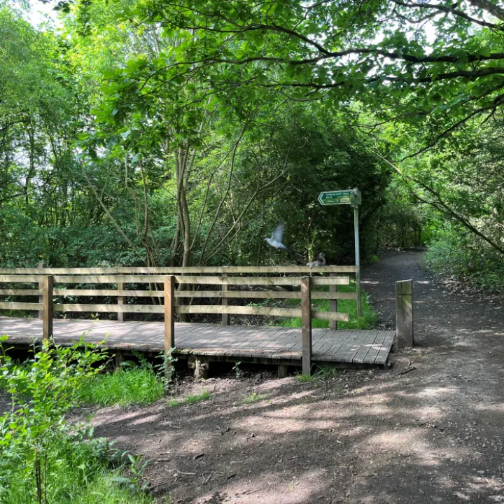 Wellbeing Walk 3