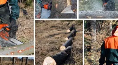 Woodcutter forest work chainsaw composite set