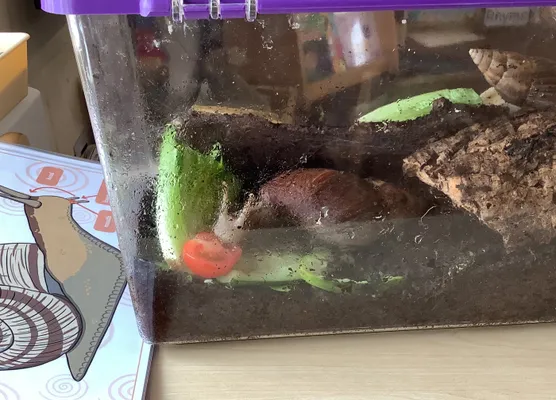14.6