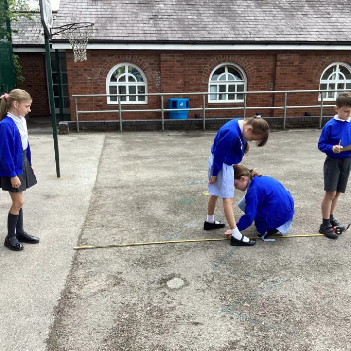 Y3 Science Investigation