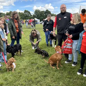 Dog Show 3