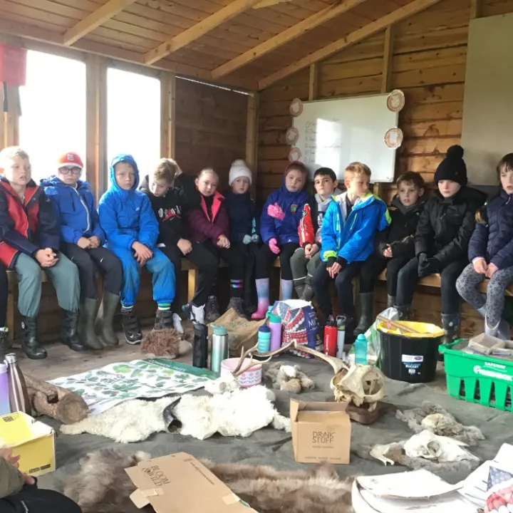 Forest school
