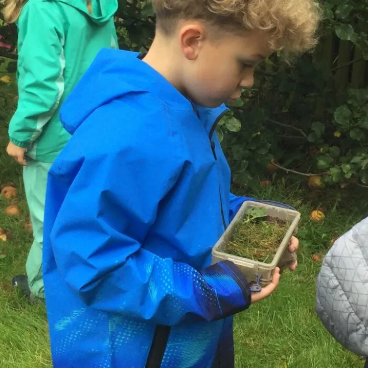 Bug hunting