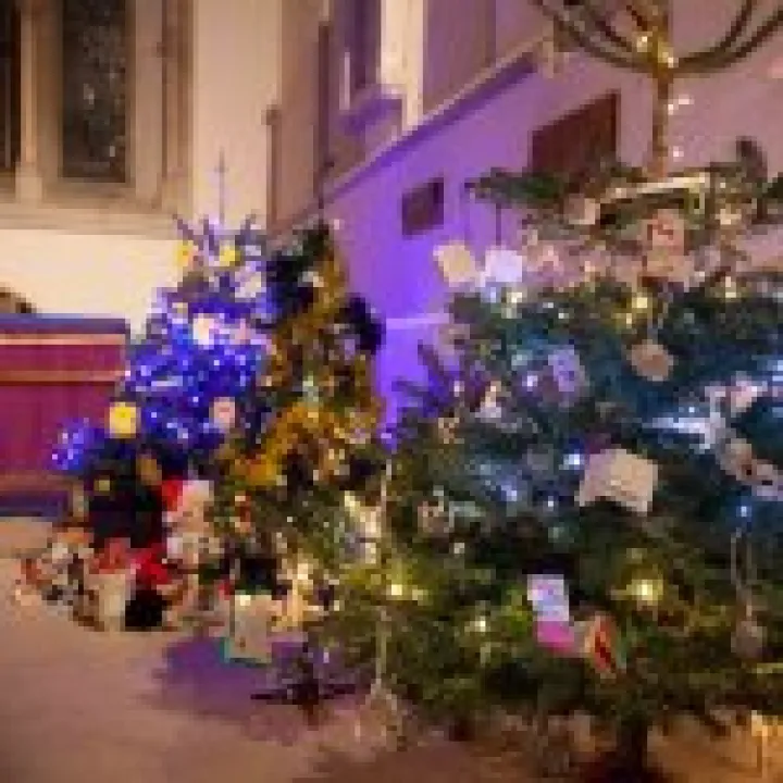 Xmas Tree Festival 06