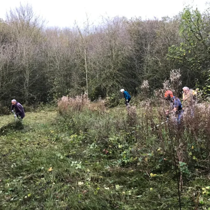 Disused railway line management