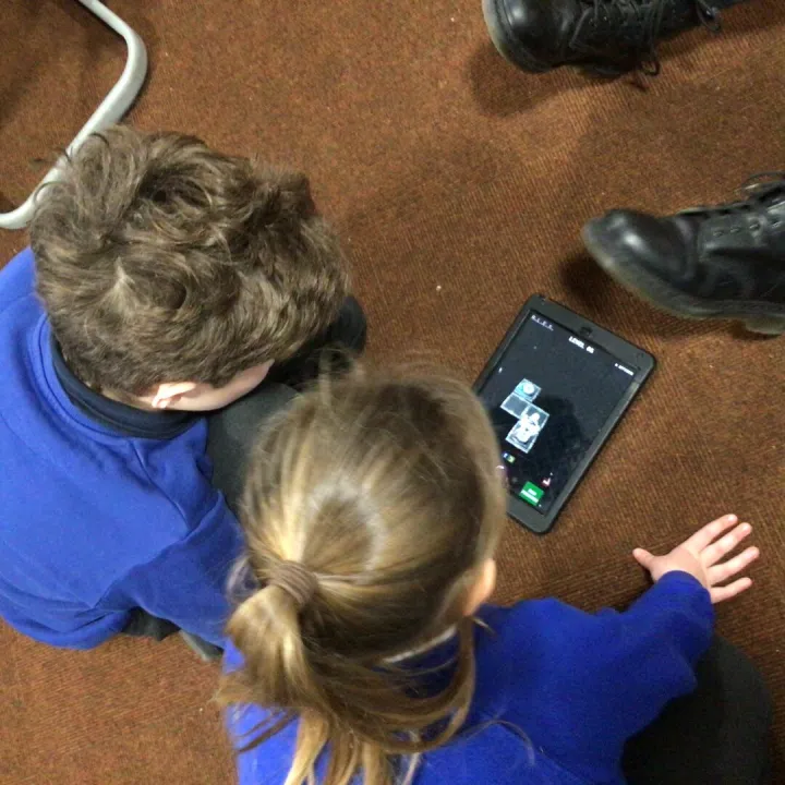 Buddy coding